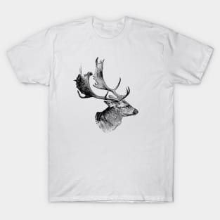 Fallow deer T-Shirt